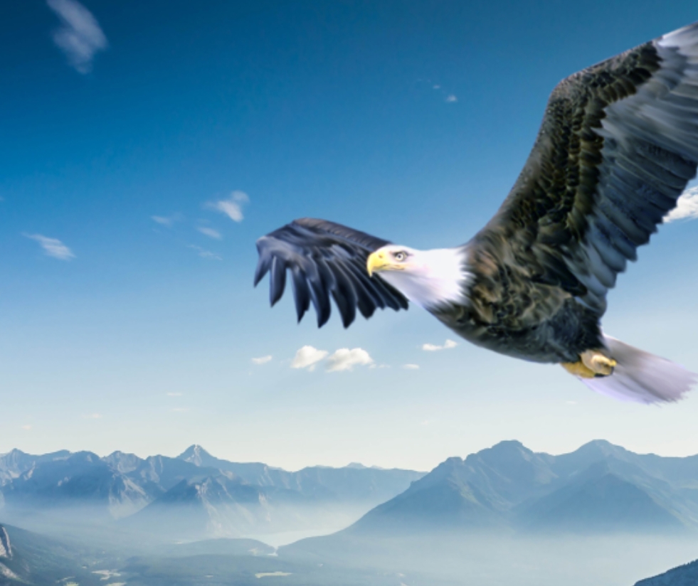 首页| 888集团电子游戏官方网站