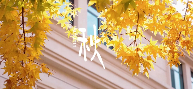 首页| 888集团电子游戏官方网站