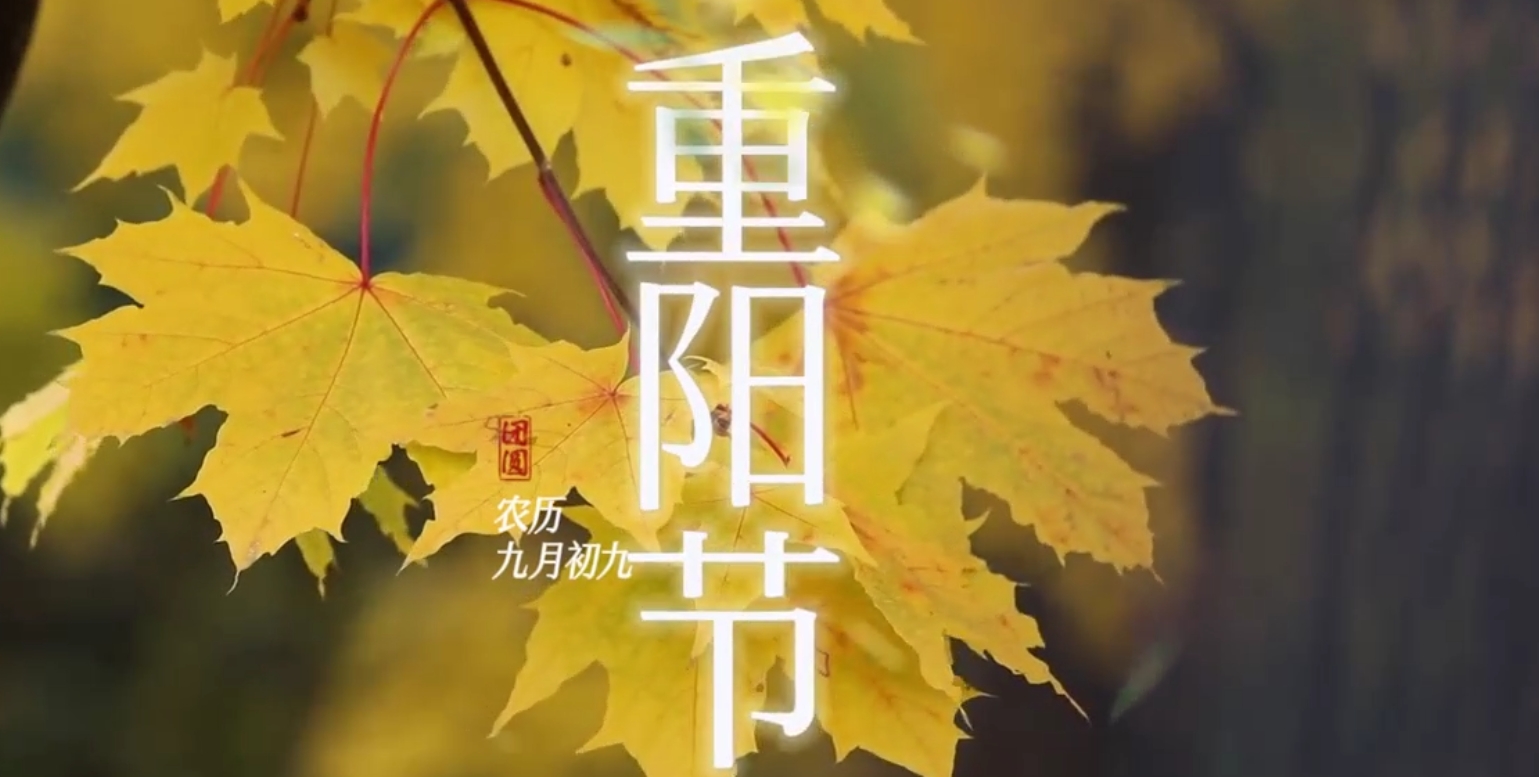 首页| 888集团电子游戏官方网站