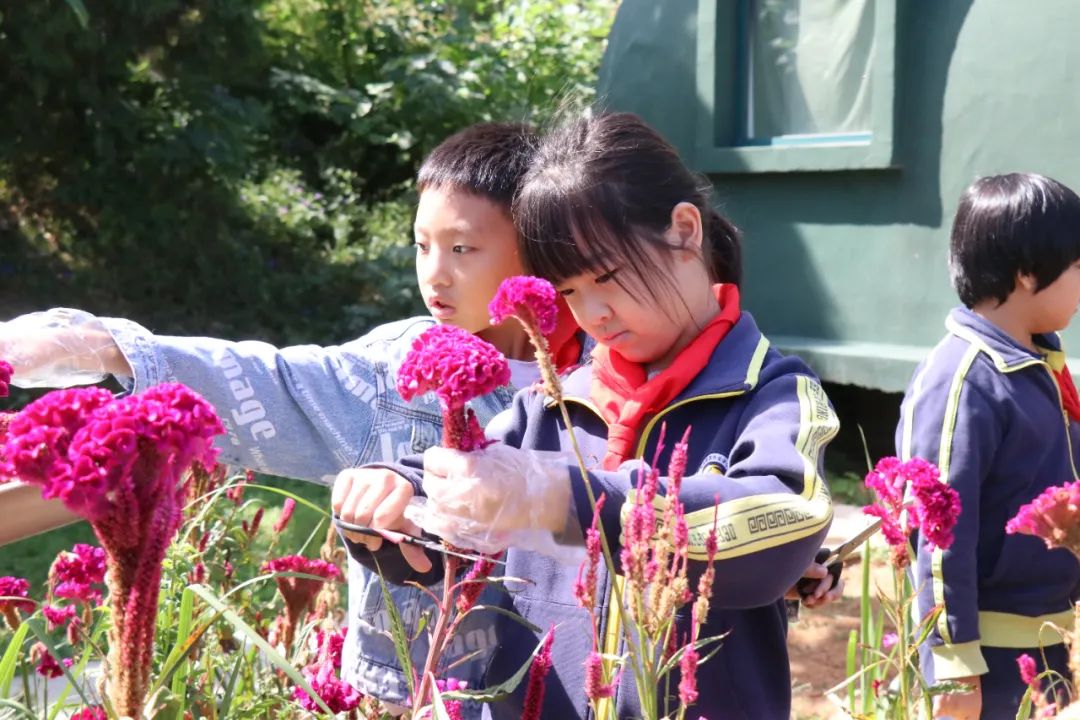首页| 888集团电子游戏官方网站