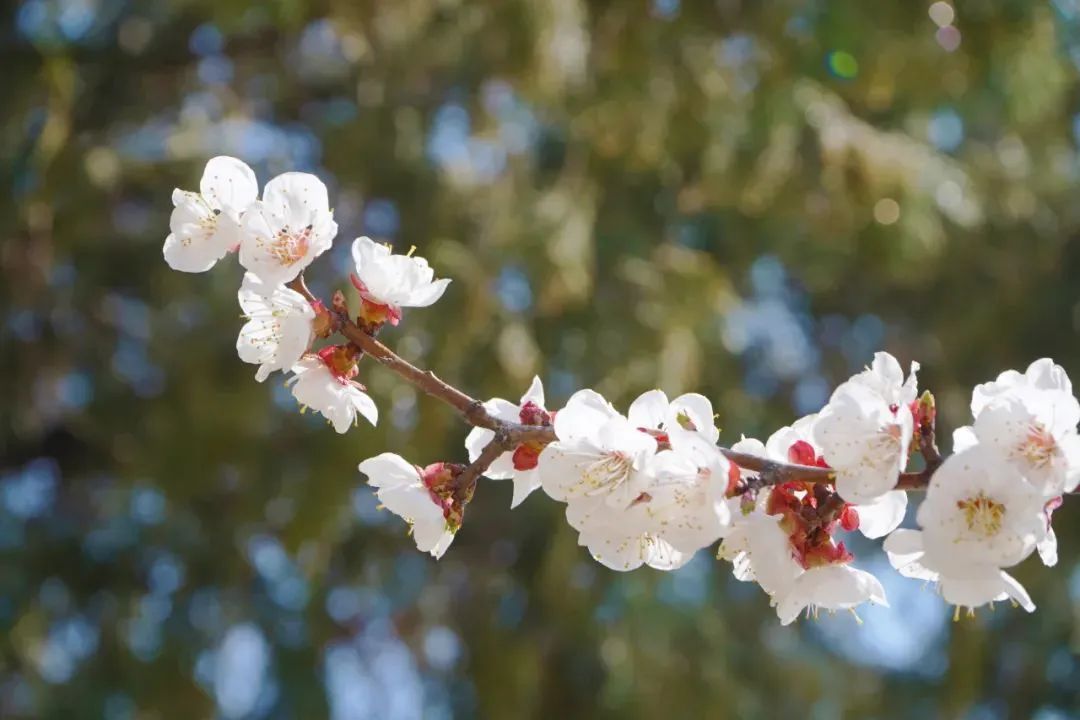 首页| 888集团电子游戏官方网站