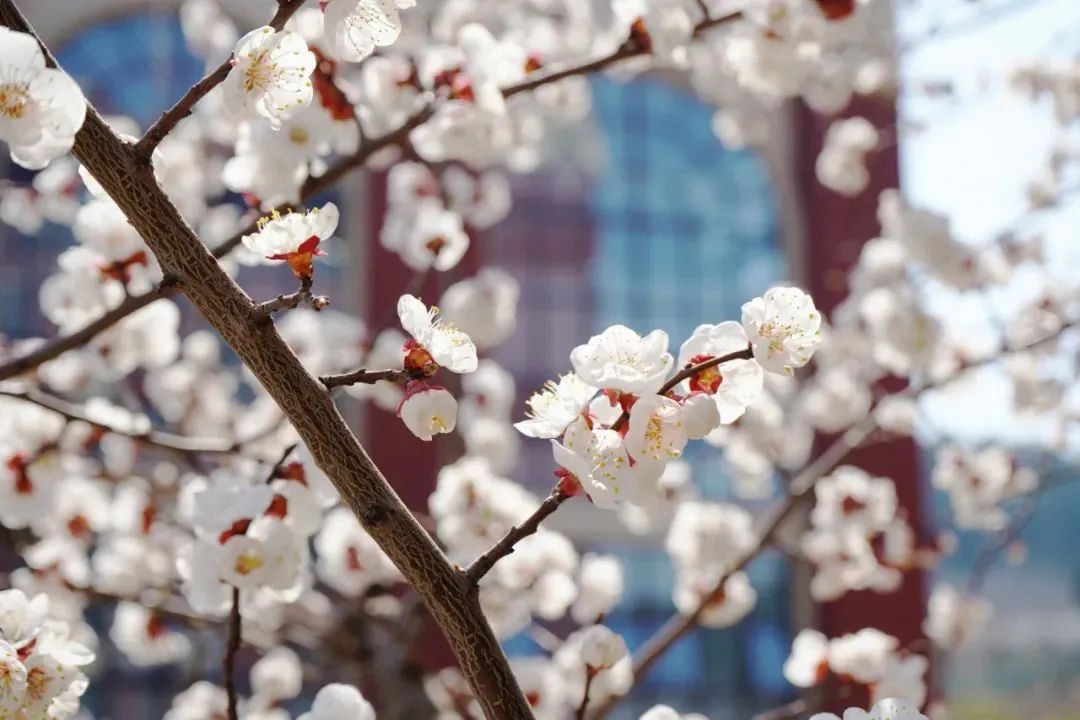 首页| 888集团电子游戏官方网站