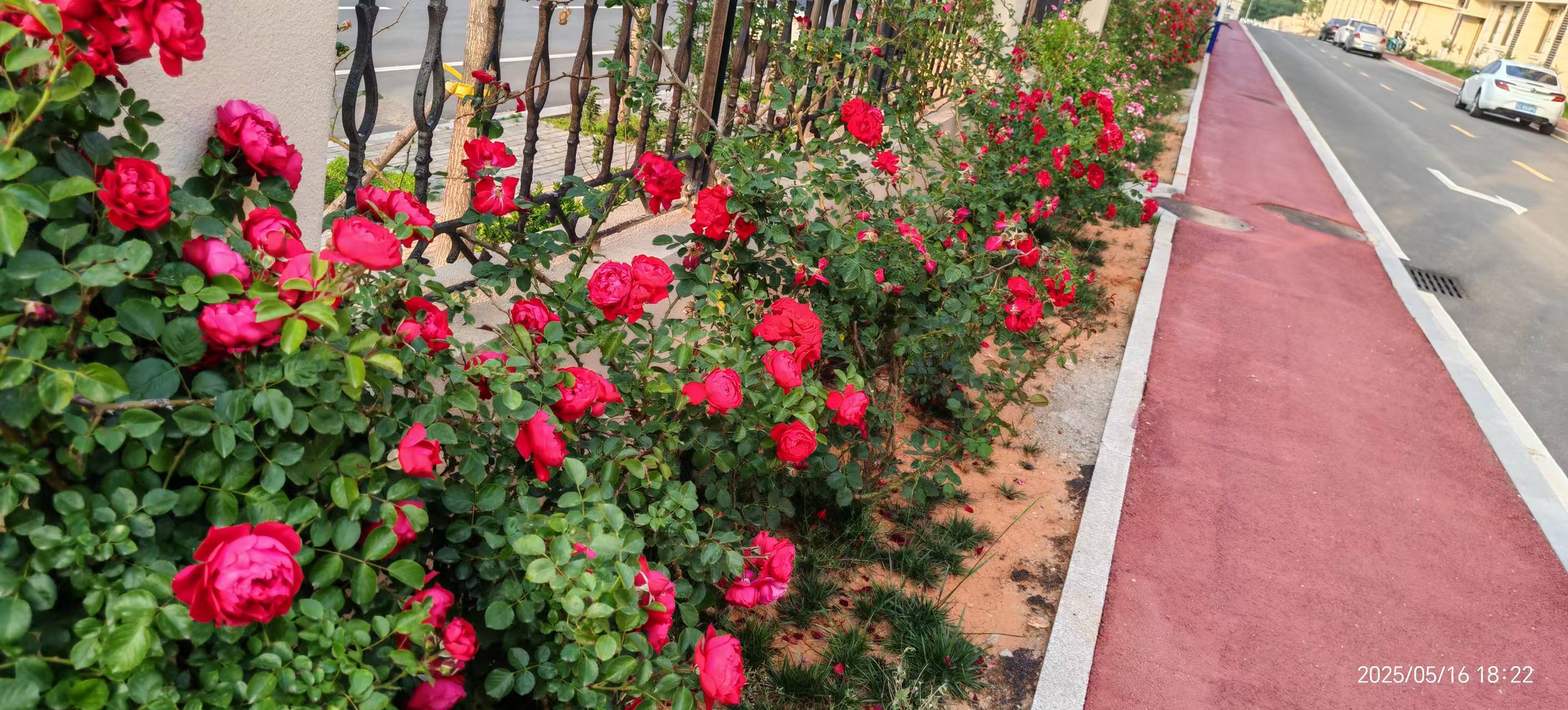 首页| 888集团电子游戏官方网站