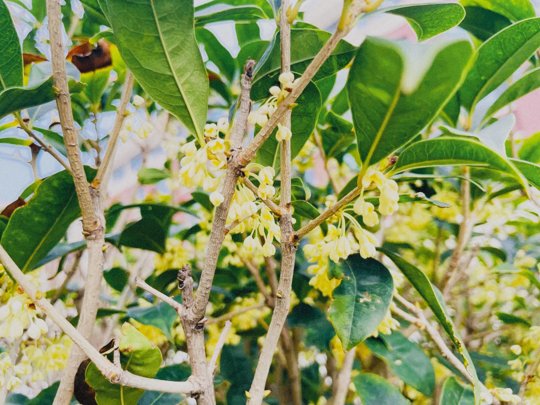 首页| 888集团电子游戏官方网站