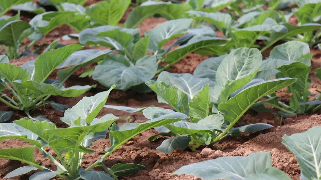 首页| 888集团电子游戏官方网站