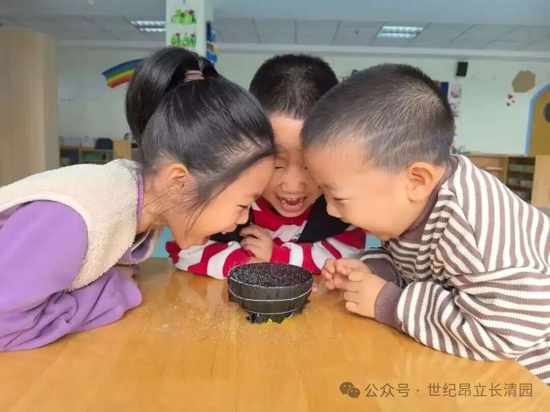 首页| 888集团电子游戏官方网站